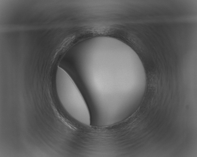 X0000052960738200507080855