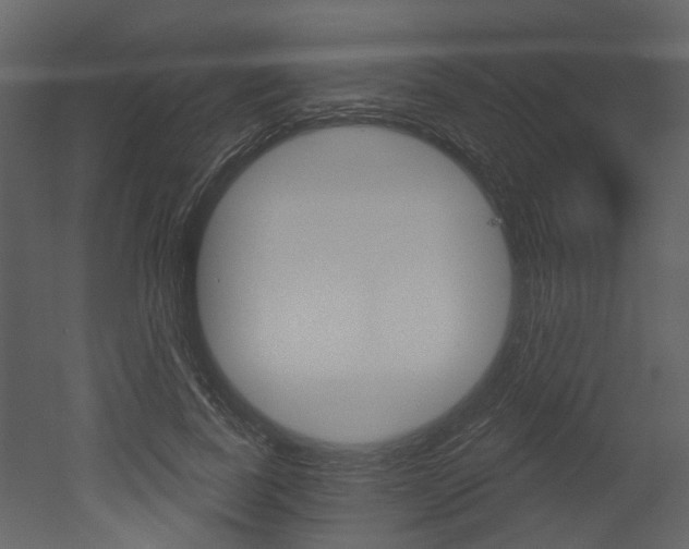 X0000052960739200507080855