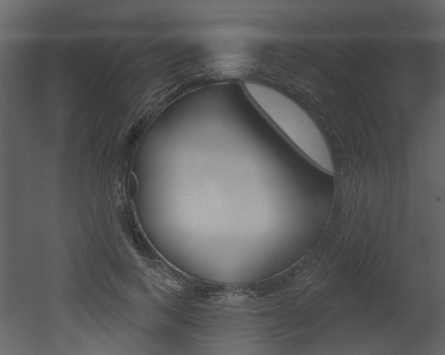 X0000052960743200507080855