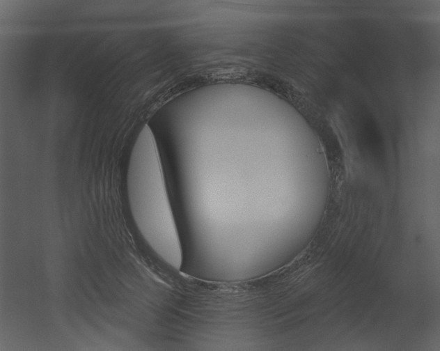 X0000052960745200507080855