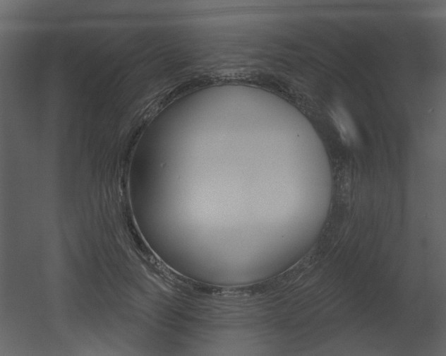 X0000052960746200507080855