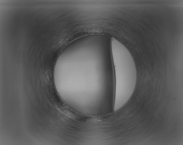 X0000052960747200507080855