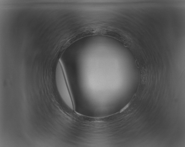 X0000052960748200507080855