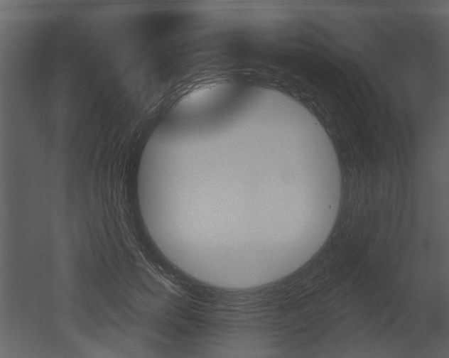 X0000052960750200507080855
