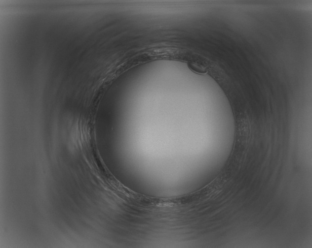 X0000052960751200507080855