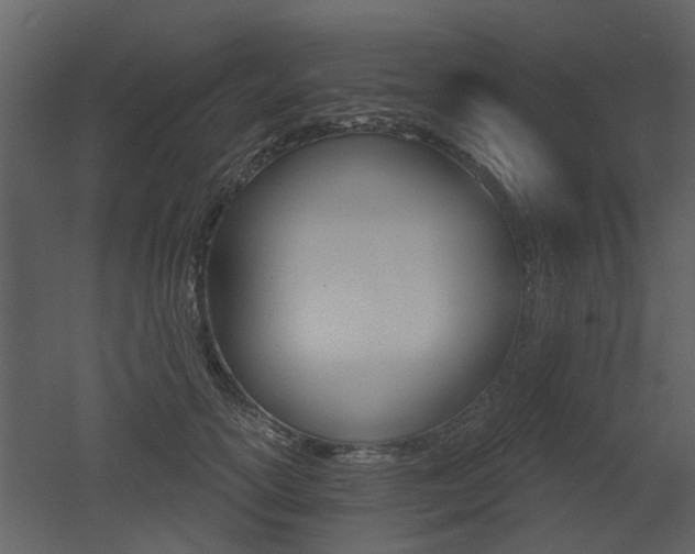 X0000052960754200507080855