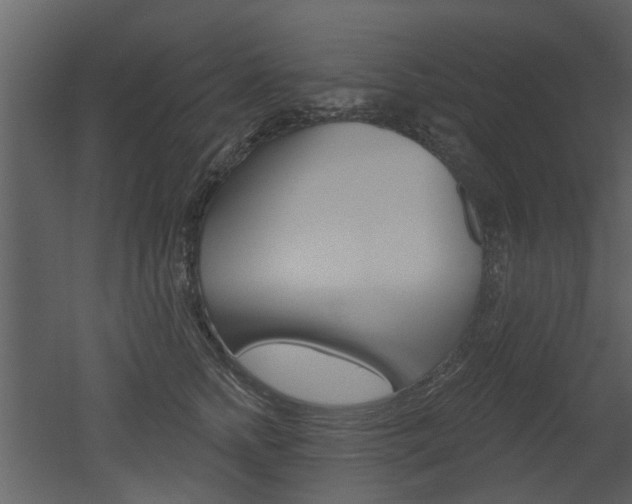X0000052960758200507080855