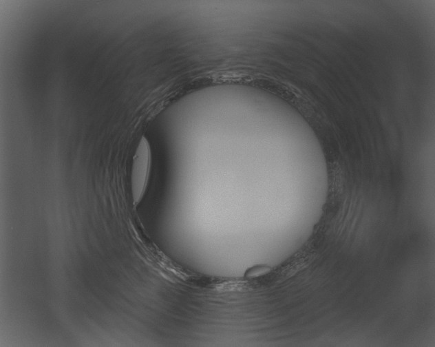 X0000052960761200507080856