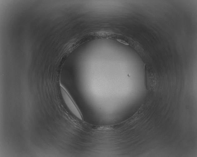X0000052960762200507080856