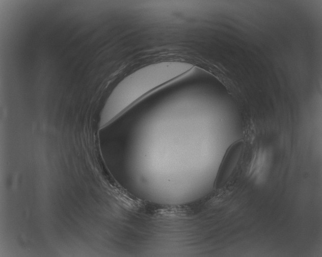 X0000052960763200507080856