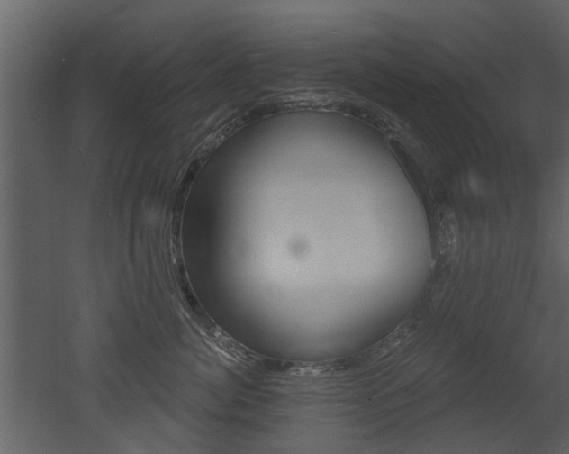 X0000052960764200507080856