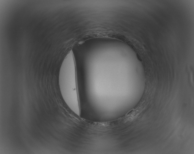X0000052960768200507080856