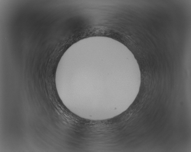 X0000052960769200507080855