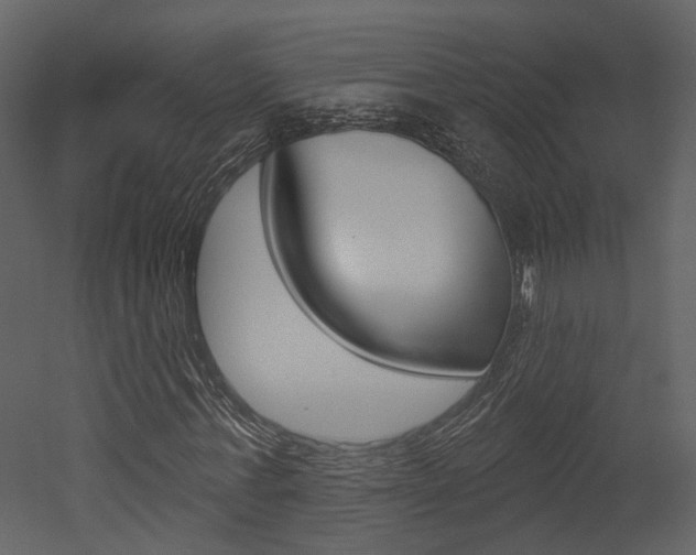 X0000052960771200507080855