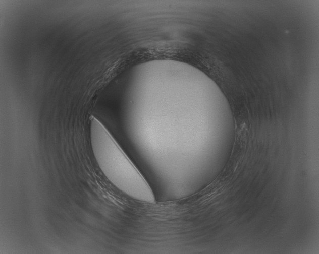 X0000052960772200507080855