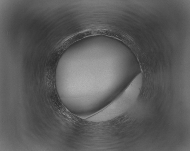 X0000052960773200507080855