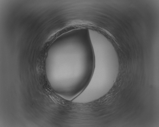 X0000052960775200507080855