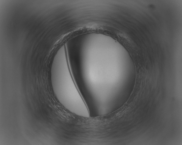 X0000052960776200507080855