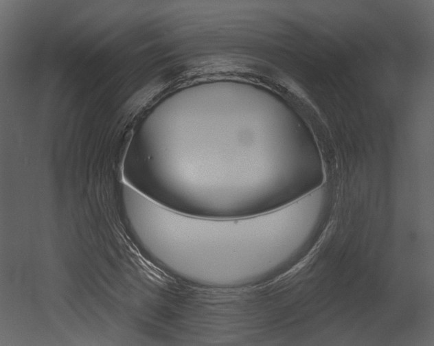 X0000052960777200507080855