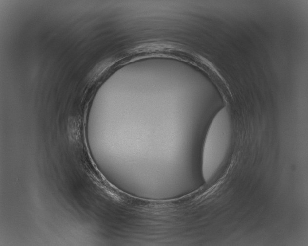 X0000052960778200507080855