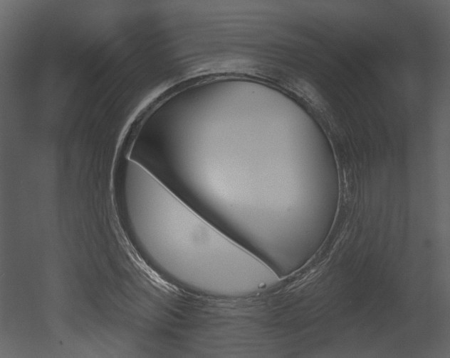 X0000052960780200507080855