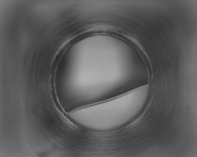 X0000052960783200507080855