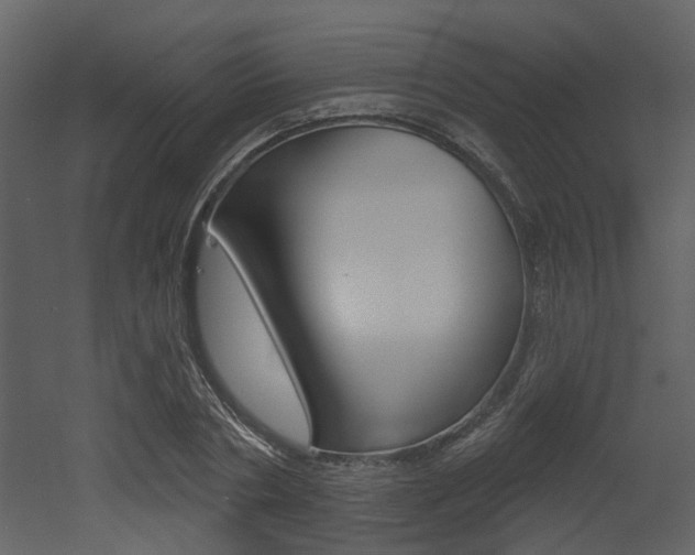 X0000052960786200507080855