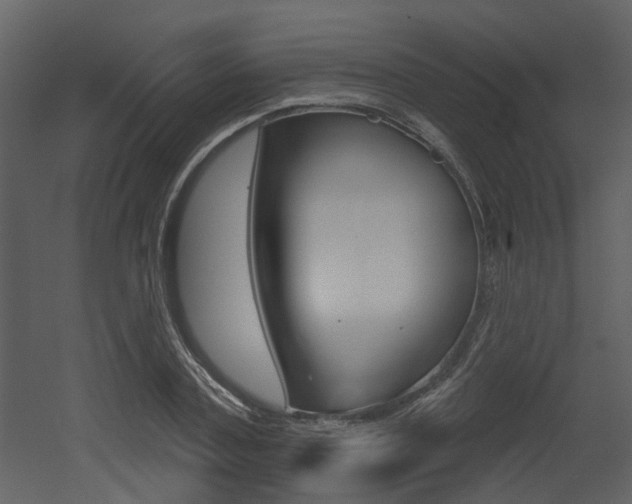 X0000052960787200507080855