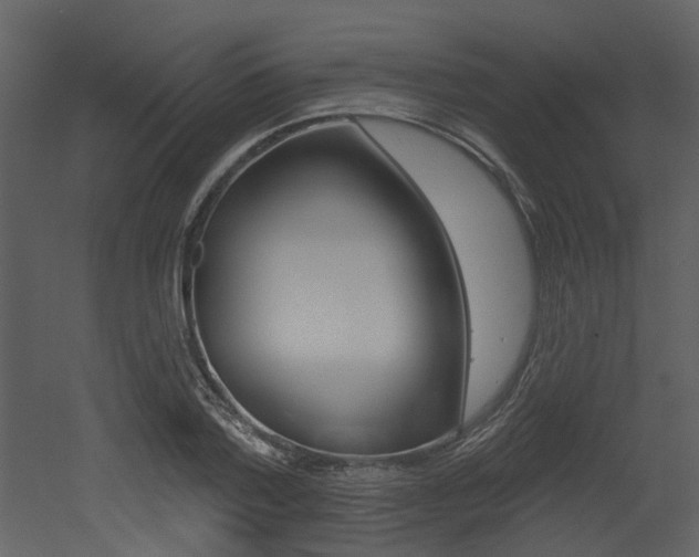 X0000052960788200507080855