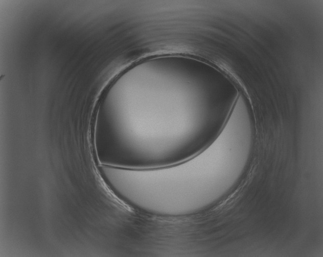 X0000052960797200507080854