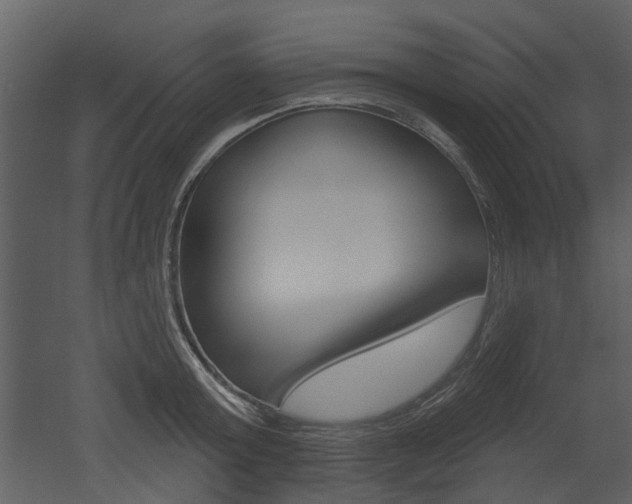 X0000052960803200507080854
