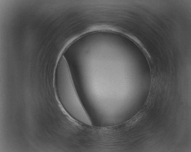 X0000052960815200507080854