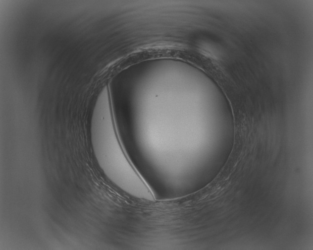 X0000052960821200507080853