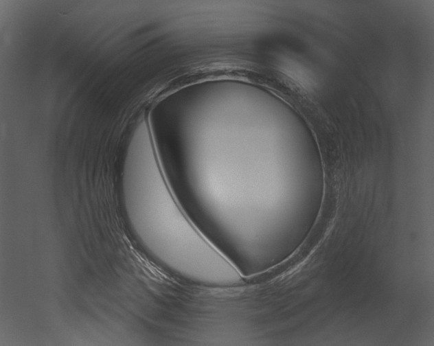 X0000052960825200507080853