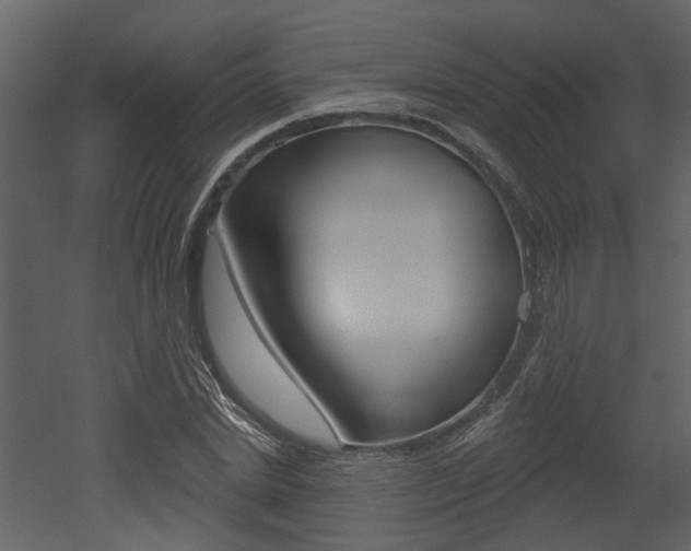 X0000052960830200507080853