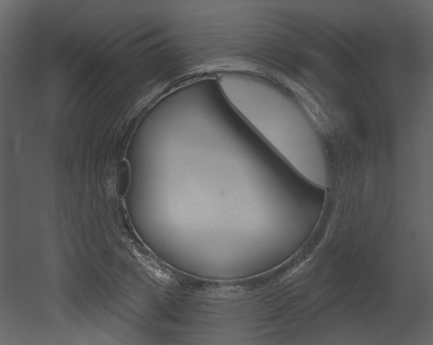 X0000052960833200507080854