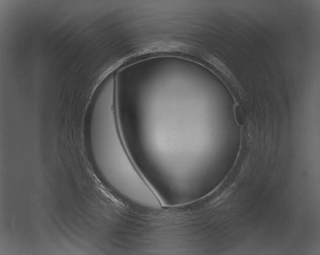 X0000052960834200507080854
