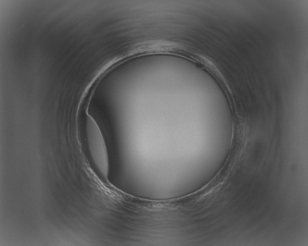 X0000052960835200507080854