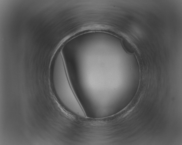 X0000052960837200507080854