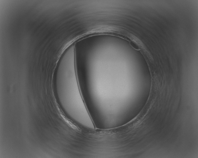X0000052960842200507080854