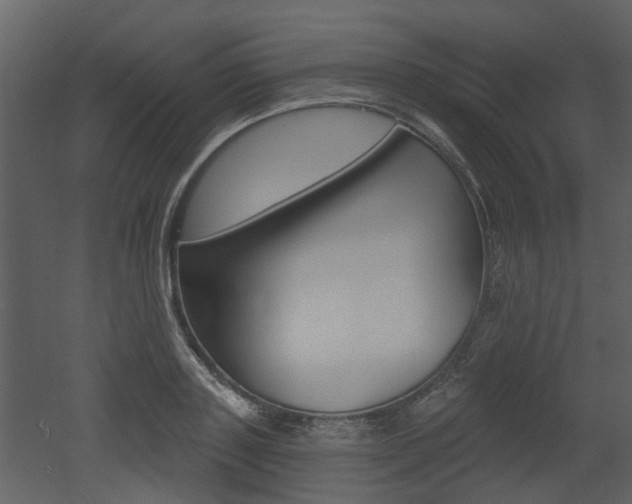 X0000052960843200507080854