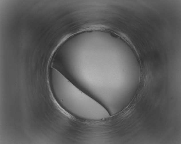 X0000052960851200507080854