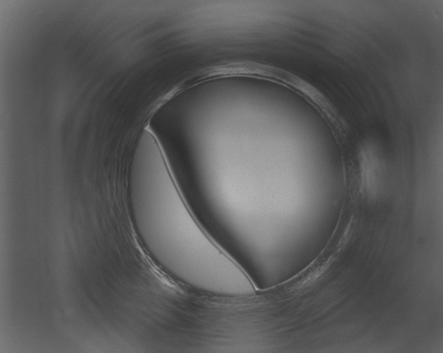 X0000052960857200507080854