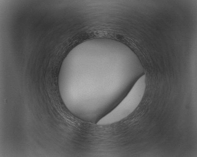 X0000052960865200507080853