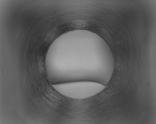 X0000052960866200507080853