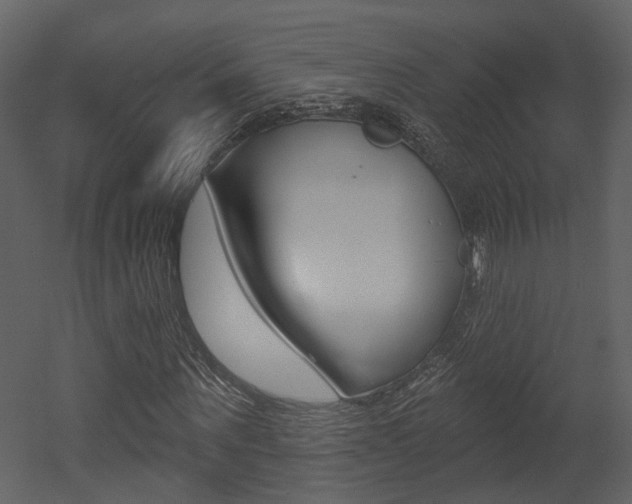 X0000052960867200507080853