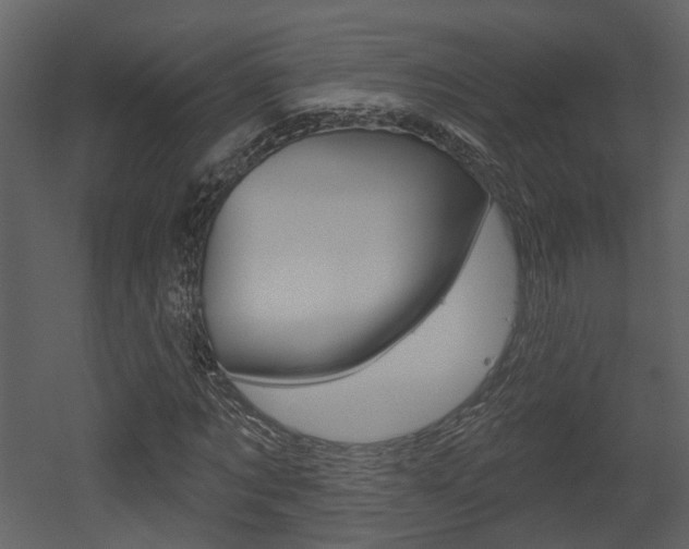 X0000052960869200507080853