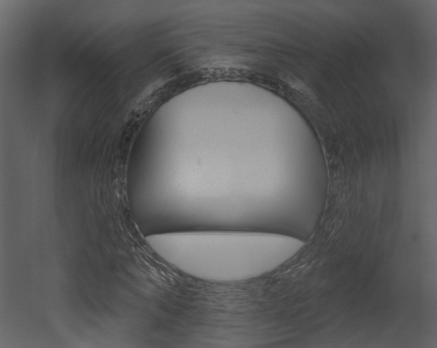 X0000052960870200507080853