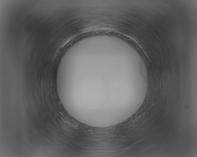X0000052960871200507080853