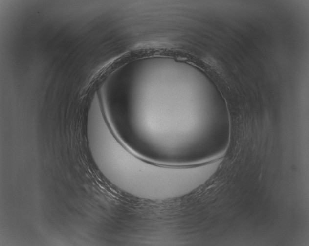 X0000052960872200507080853